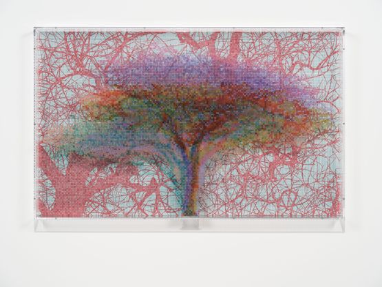 Numbers and Trees Tanzania Series 3 Acacia Tree 6 Burungi by Charles Gaines contemporary artwork Mixed Media