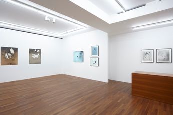 Contemporary art exhibition Kunie Sugiura Little Families Fixity of Nature 1992-2001 at Taka Ishii Gallery Complex665 Tokyo Japan
