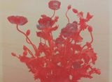 Hommage a Adolphe Braun Mulhouse by Franck Christen contemporary artwork print