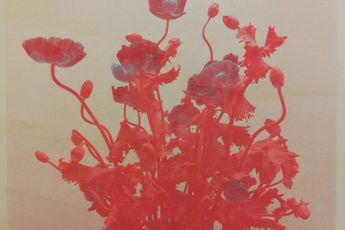 Franck Christen contemporary artist