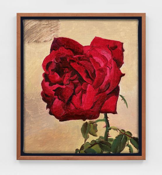 Wild Rose from the Garden by Kent Oconnor contemporary artwork Painting