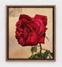 Wild Rose from the Garden by Kent Oconnor contemporary artwork Painting
