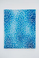 TrueView Overexposed III by Timothy Hyunsoo Lee contemporary artwork photography textile