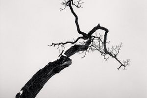 Michael Kenna