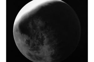 Robert Longo