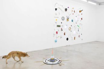 Contemporary art exhibition Gabriel Rico Nature Loves To Hide at Perrotin Paris Marais France