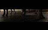 Sarabande by Clement Borderie contemporary artwork moving image