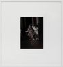 Foxy Lady by Arthur Jafa contemporary artwork Print