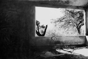Julien Segard