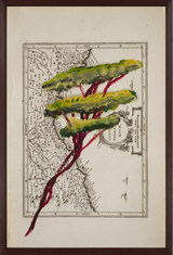 Portrait of Italy Through Its Trees Painting on Map XVIII by Julian Schnabel contemporary artwork print works on paper