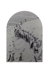 Maternal Labour 2 by Dima Srouji contemporary artwork photography print