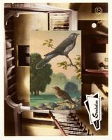 Aviary III by John Stezaker contemporary artwork mixed media