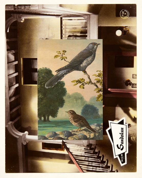 Aviary III by John Stezaker contemporary artwork Mixed Media