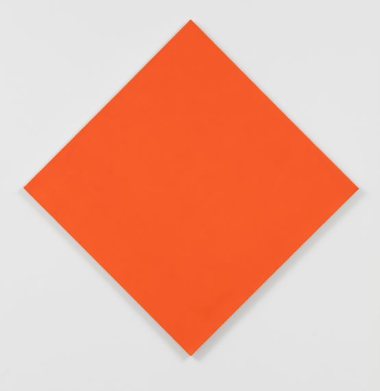 Untitled Model Painting by John Nixon contemporary artwork Painting