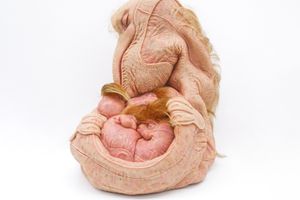 Patricia Piccinini
