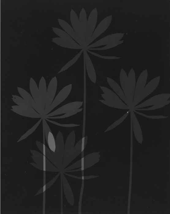 Untitled by The Estate Of Anwar Jalal Shemza contemporary artwork Photography