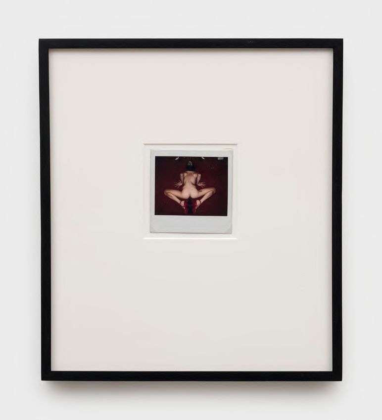 GENESIS BREYER P-ORRIDGE