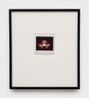 Yogass by Genesis Breyer P-orridge contemporary artwork Photography