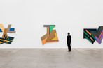Frank Stella contemporary artist