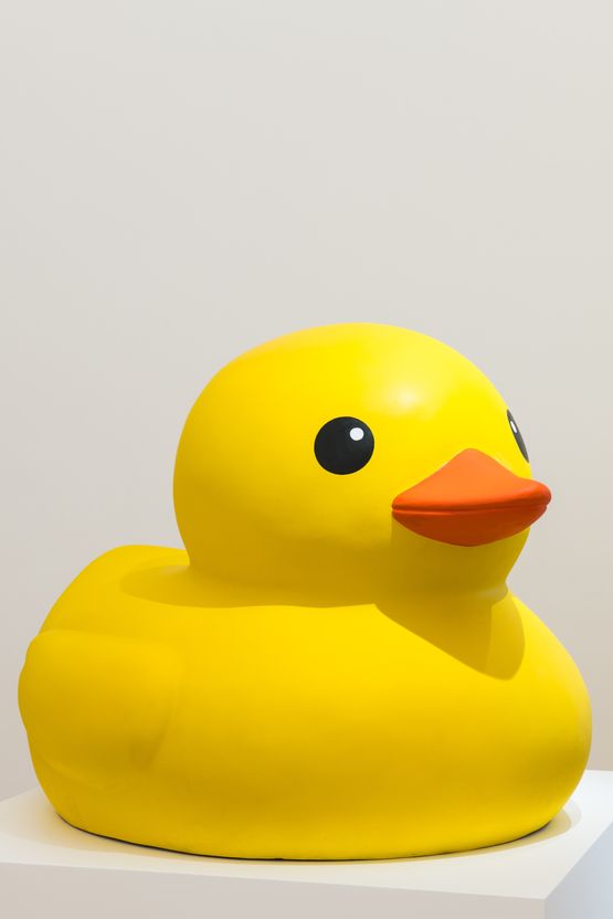 Rubber Duck by Florentijn Hofman contemporary artwork Sculpture