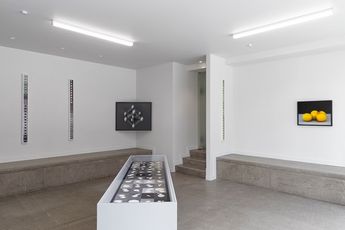 Contemporary art exhibition Gavin Hipkins Camera Work at Hamish McKay Wellington New Zealand