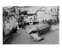 Untitled by Nobuyoshi Araki contemporary artwork Photography