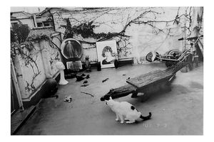 Nobuyoshi Araki