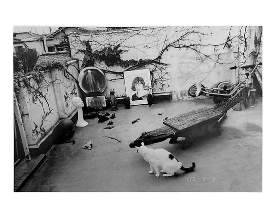 Untitled by Nobuyoshi Araki contemporary artwork Photography
