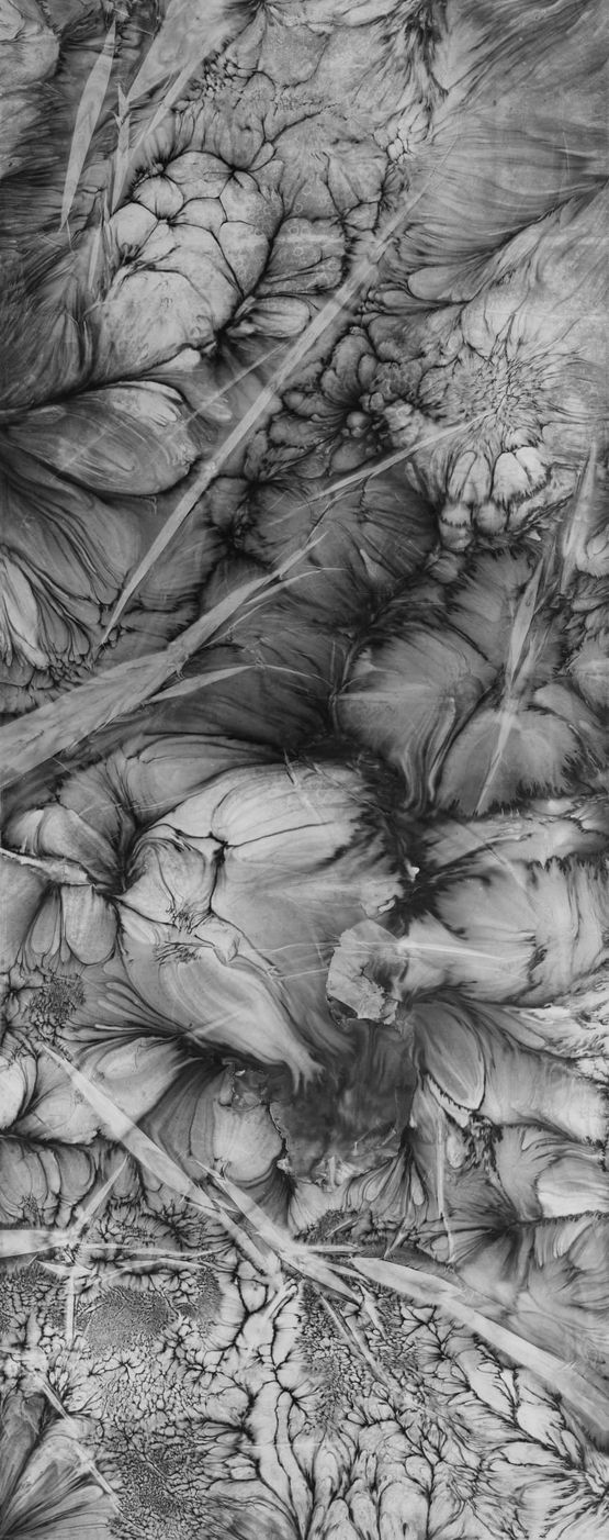 Lighting No.7  Breeze-Ruffled Lotus at the Lightning   by Bingyi contemporary artwork Painting