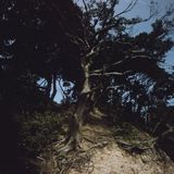 FullmoonMihama by Darren Almond contemporary artwork photography