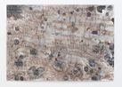 English by Yukio Miyashita contemporary artwork Painting