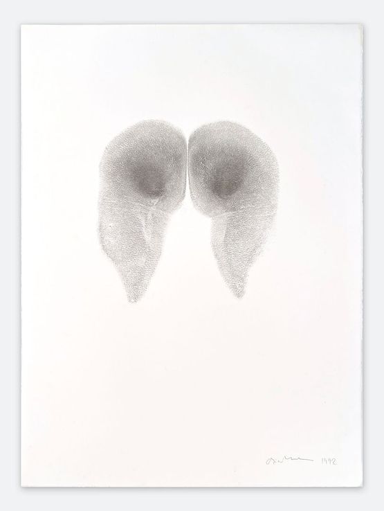 Bottom Print on paper from 1992 by Abigail Lane contemporary artwork Works on Paper