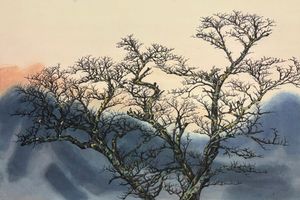 Frank Kai-yiu Tang