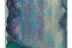 Monique Van Genderen contemporary artist