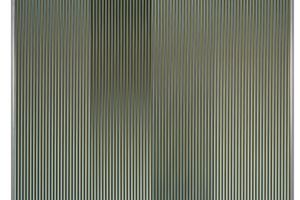 Carlos Cruz-Diez