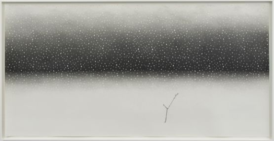 Jackdraw by James Pyman contemporary artwork Drawing
