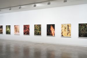 Ann Shelton