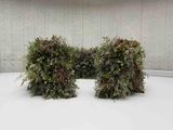Circle of Branches by Meg Webster contemporary artwork sculpture