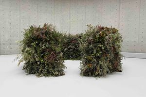 Meg Webster