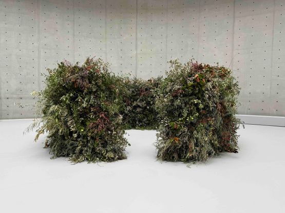 Circle of Branches by Meg Webster contemporary artwork Sculpture
