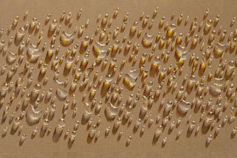 Kim Tschang-Yeul contemporary artist