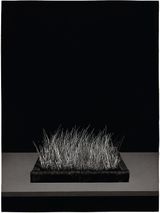 Catch It Outside 09 by Wong Weng Cheong contemporary artwork print
