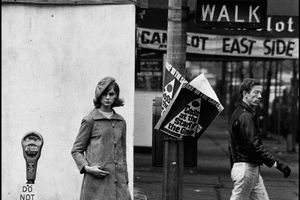David Bailey