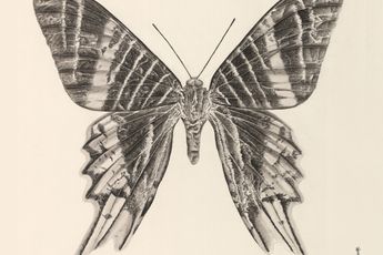 Zhang Yirong contemporary artist