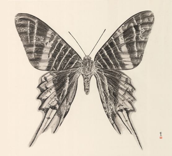 Butterfly 1 by Zhang Yirong contemporary artwork Works on Paper