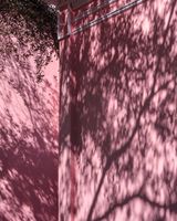 Pink Walls Sarasota by Anastasia Samoylova contemporary artwork print
