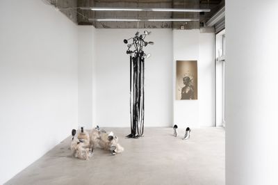 Asia NOWs New Voices Iniative Highlights the Curators Connecting Asia and Its Diasporas