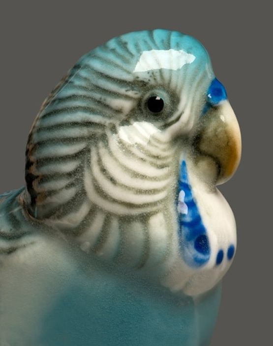 Blue by Boyd Webb contemporary artwork Print