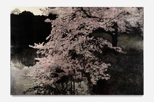 Susan Norrie