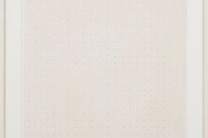 Bridget Riley